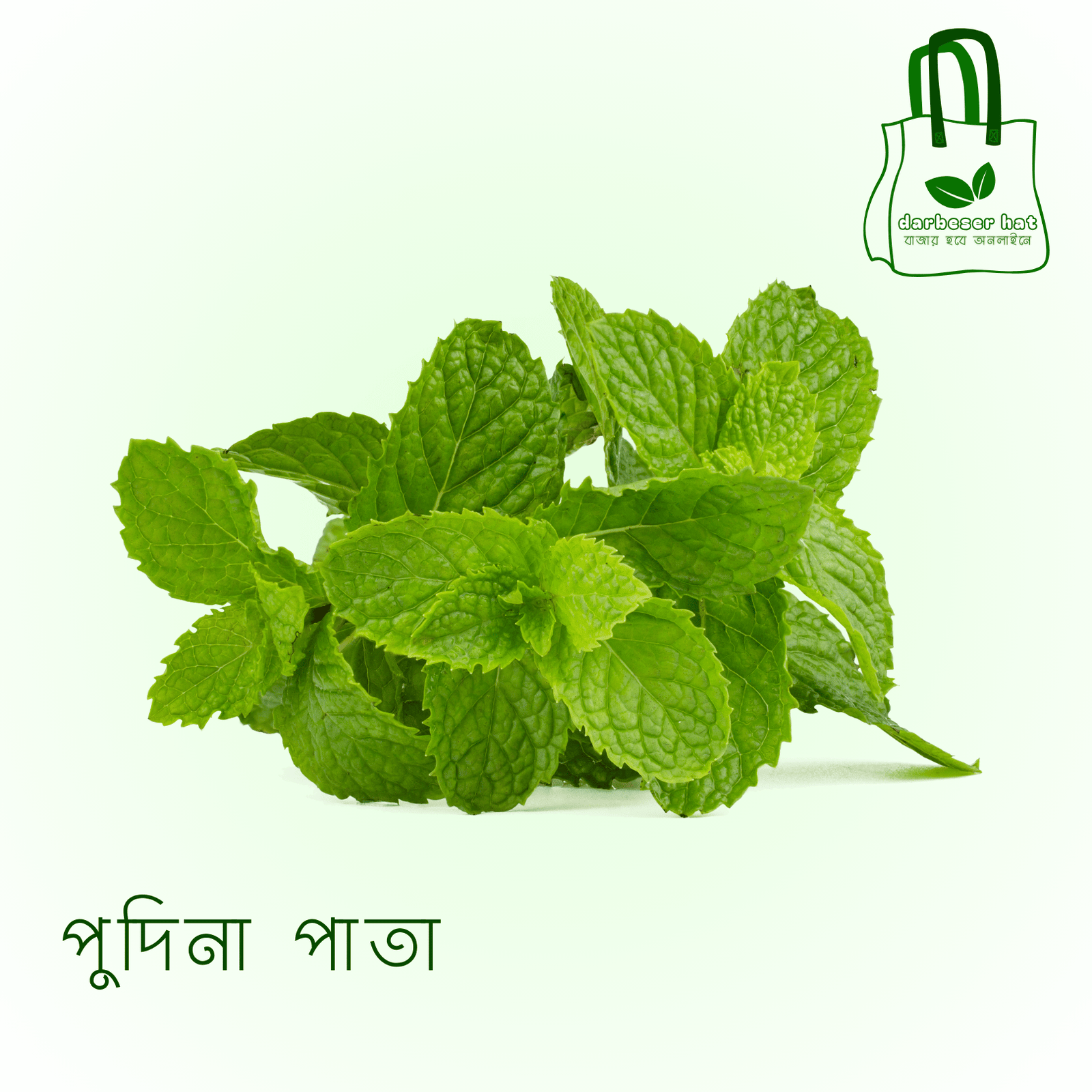 পুদিনা পাতা