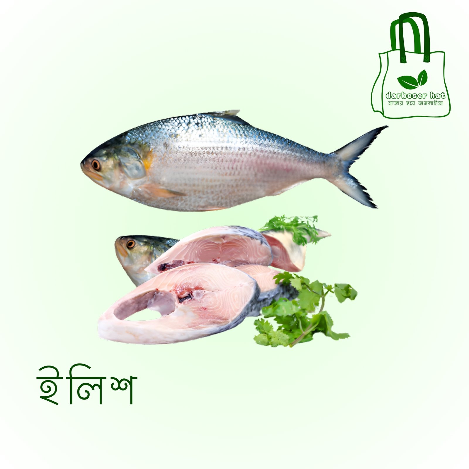 ইলিশ