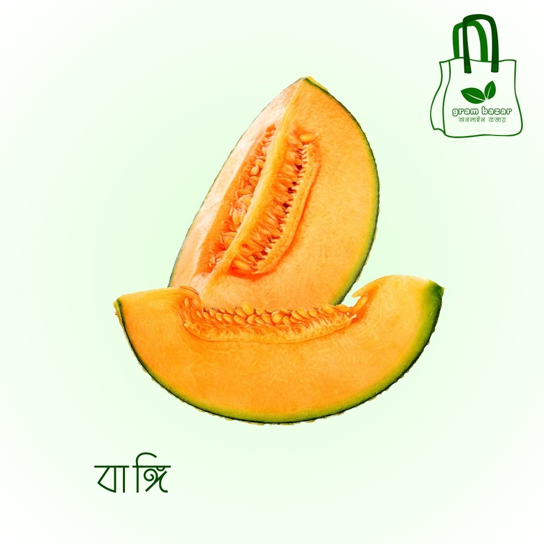 বাঙ্গি