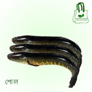 শোল