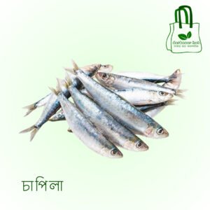 চাপিলা