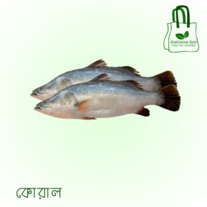 কোরাল