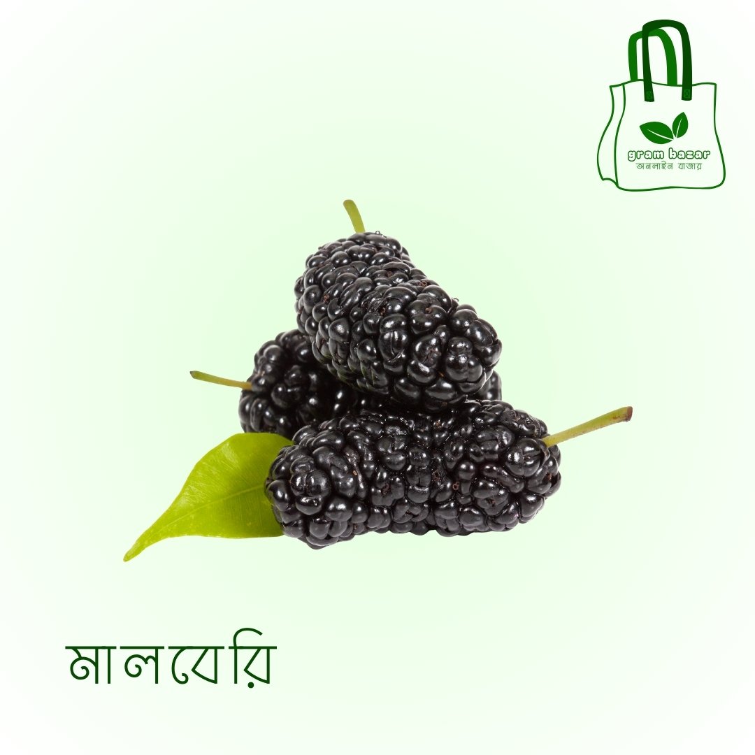 মালবেরি