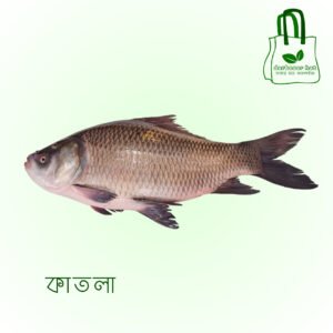 কাতলা