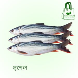 মৃগেল