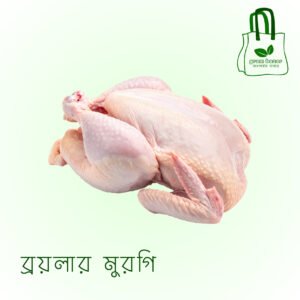 ব্রয়লার মুরগি