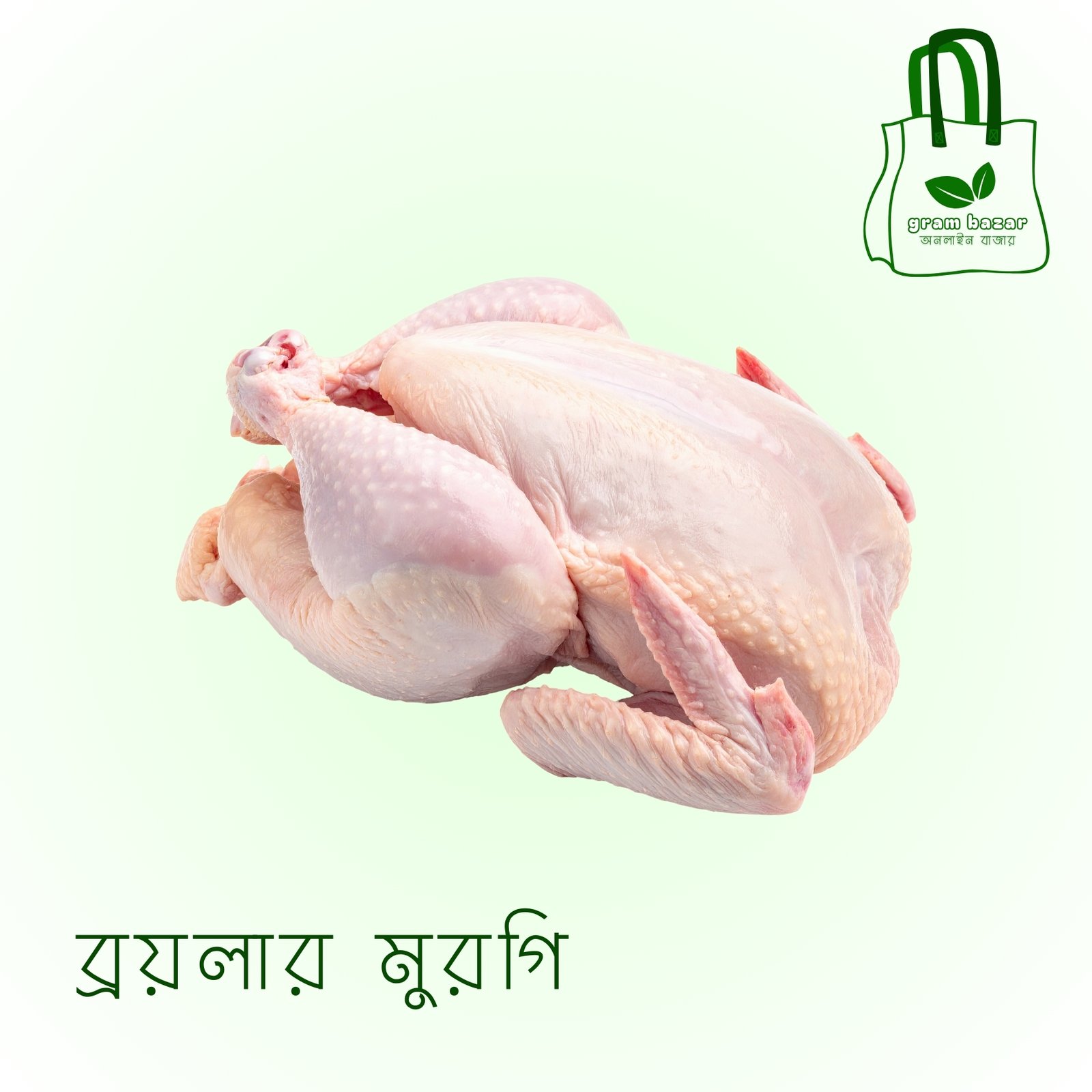 ব্রয়লার মুরগি