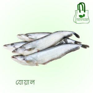 বোয়াল
