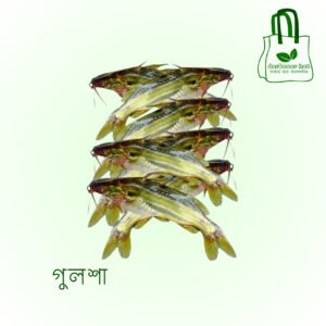 গুলশা